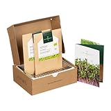 Anzuchtset Microgreens, Porzellanschale mit Edelstahleinsatz, inkl. 2 Bio-Saatpads