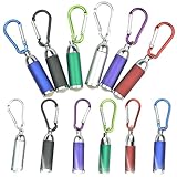 12 Stück Mini LED Taschenlampe Kinder, Farbige Aluminium Taschenlampe Klein Tragbare Handlampe Set mit Schlüsselbund für Camping Outdoor Wandern Notfälle Kindergeburtstag Party Geschenke (Rot)