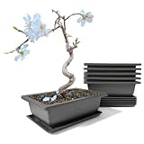 maiple 6 Stück Bonsai Trainingsschalen, 23x17x8cm, rechteckige Bonsaitöpfe aus Kunststoff mit Untersetzer, Pflanzgefäß für Garten, Terrasse und Fensterbank