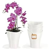 Garten lux Orchideentopf 4er Set 2L-Orchideen Übertopf groß Weiß Transparent Blumentopf Ø 16cm- Kunststoff Orchid Pot - Blumentopf für Orchideen