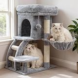 Heybly Kratzbaum, 75cm Hoher kratzbaum Klein Mit Oberer Plattform, Höhle, Hängematte, Kletterleiter, Katzenspielzeug, Katzenmöbel, Mehrstöckigen Katzenbaum, Hellgrau HCT009SW