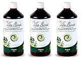 Vita Biosa Original, Kräuter (3 x 1 l) 3-Liter-Pack