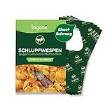 Legona® - Schlupfwespen gegen Lebensmittelmotten / 4X Trigram-Karte à 1 Lieferung/Effektive & Biologische Bekämpfung von Motten in Lebensmitteln/Alternative zu Mottenspray und Mottenkugeln