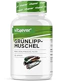 Grünlippmuschel - 365 Kapseln mit je 600 mg - Premium: Mit Glycosaminoglykane - Hochdosiertes Grünlippmuschelextrakt - 100% Grünlippmuschelpulver aus Neuseeland ohne Zusätze - Laborgeprüft