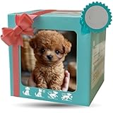 Neuer Roboterhund, Mein realistischer Roboterwelpe, EIN Neuer interaktiver und niedlicher Roboterhund, geeignet für die meisten Menschen, Mitbringsel