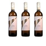 Vorteilspaket Vite Colte Roero Arneis 'Villata' DOCG (3 x 0.75 Liter)/ErnenWein/Wine