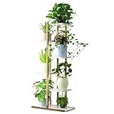 KASNLSAC Blumenständer Pflanzenständer Pflanzenregal aus Holz und Metall - 6 Etagen 7 Töpferien -Pflanzen, Stabil und Schnellsparend, Moderne für Zimmerpflanzen Weiß