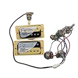 Alnico Gitarren-Tonabnehmer, klassisch, Vintage und Pro Bucker, Humbucker, E-Gitarre mit Profi-Kabelbaum, E-Gitarren-Tonabnehmer (Zebra YE)