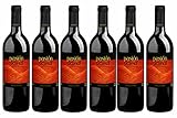 DELINAT – Weinpaket Pasión Delinat, Vino tinto 2019, Probierset, Tempranillo, spanischer Barrique-Rotwein, trocken, 6 Fl. Biowein à 0.75 l