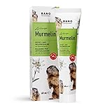 Bano Arlberger Murmelin Sport und Gelenksalbe I Original Murmeltiersalbe I Made IN Austria I mit Murmeltieröl | Arnika | Latschenkieferöl (60ml)