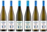 6 er Probierpaket Weißwein von Weingut Metzger | Grauburgunder | Weißburgunder | Sauvignon Blanc | Pfalz | 6 x 0,75 l | 1 Drop Stop Weinausgießer FABELHAFTE GESCHENKE