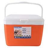 PerGar Isolierte Tragbare Kühlbox, Isolierte Kühl-Lunchbox, Mini-Strandkühler, Weiche Lunch-Taschenbox, Outdoor-Hartkühler mit Griffen für Strand, Camping, Tailgating, Sport, 13 L