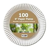 1000 weiße Einweg-Pappteller, Geschirr, Party-Teller, super starr, biologisch abbaubar und kompostierbar, Picknick-Snacks (22,9 cm Durchmesser, 23 cm)