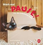 Mach mal Pause Postkartenkalender 2026 - Für das Arbeitstier in dir: Kleiner Tierkalender mit lustigen Sprüchen rund um Büro und Arbeit. Kalender zum ... und Versenden. (Postkartenkalender Heye)