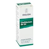 CHELIDONIUM AUGENTROPFEN Rh D 4 10 ml