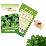 Winterpostelein Winterportulak Samen - Claytonia perfoliata - Portulaksamen - Gemüsesamen - Saatgut für 250 Pflanzen