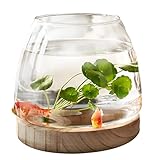 Glas Fischglas mit Holzsockel, Kugelaquarium Fischbecken Kleine für Kampffische Goldfische, Transparent Terrarium für Pflanzen, Hydroponische Pflanzenterrarium Blumenvase Fischschale Glas Zuhause Deko