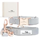 FREUDENTIER® Hundehalsband und Hundeleine (2m) aus veganem Leder im Set - Stilvoll und robust - Für kleine und mittelgroße Hunde (30-40cm Halsumfang)