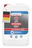 Anti Spinnen-Spray für Spinnen-Abwehr - 3 Liter Nachfüllpack - effektives Spinnen bekämpfen für Innen und Außen (Haus, Wohnung, Boot etc.) - natürlich biologisch abbaubar & geruchsneutral