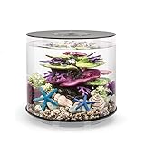 biOrb 72062 TUBE 15 LED schwarz - 15 Liter 360-Grad Deko-Aquarium | Komplett-Set aus Acryl-Glas mit LED-Beleuchtung, Filter-System und Boden-Keramik