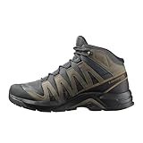 Salomon Herren Herren X-Adventure Recon Mid Gore-Tex Wanderschuh, Asphalt/Falke/Coyote Braun, Für Komfort, Ideal für Wandern und Trailrunning bei Outdoor-Abenteuern. 44