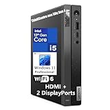 Lenovo ThinKCentre neo 50q Gen 4 Tiny 1L Business Mini Desktop Computer, 13th Gen Intel 8-Core i5-13420H (Beat i7-1355U), 16GB DDR4 RAM, 1TB PCIe SSD, 2 DisplayPorts, WiFi 6, Win 11 Pro, Vent-Hear