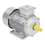 230/400V 4KW Elektromotor Drehstrommotor aus Metall, 2895 U/min 3-phasig Motor Kupfer-Elektromotor Schaftdurchmesser 28mm, Dreiphasige-Motor Drehstrom-Asynchronmotor IP55 Schutzklasse