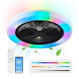 AHXIAOZN RGB Deckenlampe mit Ventilator Fan, Leiser Moderne Ventilator mit Licht, Dimmbar LED Lampe mit Ventilator, RGB Deckenventilator mit Beleuchtung und Fernbedienung & APP Fan Lampe, Schwarz