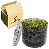 SaatPur® Keimsprossenbox Set 3 mit DREI Etagen als Sprossen Keimgerät: Sprossen Anzucht sowie Microgreens Anzuchtschalen. Keimbox, Keimschale, Qualität, Sprossenbox, Sprossenhaus, Keimgerät