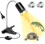 Sunshine smile Schildkröte Wärmelampe,25W 50W Wärmelampe Schildkröten,Reptilien Terrarium Lampe,Wärmelampe für Schildkröten Terrarium,Reptilien Terrarium LampeWärmelampe