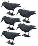 Brandsseller Schwarzer Rabe aus Kunststoff 36 x 20 cm Taubenabwehr Vogelschreck gegen kleine Vögel und Tauben Tierfreundliche Abschreckung - 5 Stück