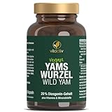 VITACTIV Yams Wurzel, Wild Yam - 120 Kapseln (2 Monatspack) - 880mg Yamswurzel-Extrakt pro Tagedosis, 20% bzw. 176mg Diosgenin - Für körpereigenen DHEA-Spiegel, bei Menopause (Wechseljahren)