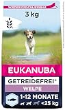 Eukanuba Welpenfutter getreidefrei mit Fisch für kleine und mittelgroße Rassen - Trockenfutter ohne Getreide für Junior Hunde, 3 kg