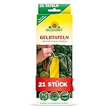Neudorff Gelbtafeln (kleinformatig) – Gegen kleine Fliegende Schädlinge wie Trauermücken und Weiße Fliegen, insektizid frei, geruchlos, 21 Stück