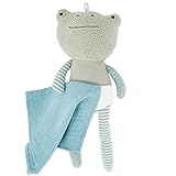 Bieco Frosch Kuscheltier mit Schmusetuch | 30 cm | Frosch Plüschtier | Baby Kuscheltier Mädchen & Junge | Kuscheltier Baby | Stuffed Animal | Frosch Stofftier Baby | Süße Baby Kuscheltiere