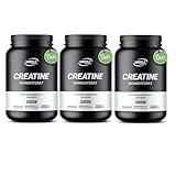 Creatin Monohydrat 1kg Pulver reines Kreatin mikronisierter Qualität Mesh 200 - optimal hochdosiert 100% vegan - Wehle Sports (3x1000g)