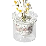 Generisch Blumentopf für Schreibtisch | Doppelwandiger Pflanzbehälter mit integriertem Wasserspeicher - Blumenübertopf,für Wohnung, Hotel, Studentenwohnheim, Wohnzimmer, Balkon
