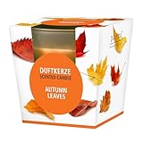 pajoma® Duftkerze, Autumn Leaves - im satinierten Glas | 120g Wachsgewicht, Brenndauer: 25 Stunden, in edler Geschenkverpackung | Premium Qualität
