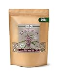 Biojoy BIO-Herzgespann Tee (250 g), Herzgespannkraut getrocknet und geschnitten (Leonurus Cardiaca)