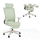 FLEXISPOT Ergonomischer Bürostuhl, klappbarer Bürostuhl für Kleine Räume mit Lendenwirbelstütze, Höhenverstellbaren Armlehnen, 2D Kopfstütze, Schreibtischstühle mit Fußstütze für die Arbeit zu Hause