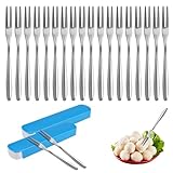 Serviergabel Set, 20 Stück Edelstahl Poliert Dessertgabeln Obstgabeln Mini Gabeln Pommesgabel mit Aufbewahrungsbox für Desserts, Obst, Salate,Kuchen, Cocktails, Salate Geburtstagsfeiern
