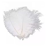 30 Stück Straußenfedern Straußenfedern Natürliche Feder Plume Straußenfedern Straussenfedern Straußenfedern Diy Dekoration Straußenfedern für Hochzeit Mittelstücke Home Decoration (Weiß, 15-20cm)