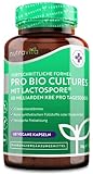 Pro Bio Cultures Complex – 60 Mrd KbE pro Tagesdosis mit 21 Bakterienstämmen – Premium: Mit Lactospore® - Mit hoher Wirksamkeit und intensivem Wirkstoffgehalt – Hergestellt von Nutravita