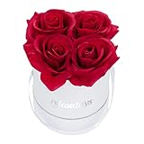 Relaxdays Rosenbox rund, 4 Rosen, stabile Flowerbox weiß, 10 Jahre haltbar, Geschenkidee, dekorative Blumenbox, rot