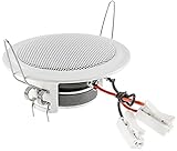 ChiliTec Einbaulautsprecher Deckenlautsprecher 45W flach...