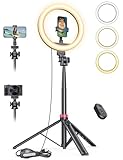 10,2' Dimmbares Ringlicht mit 75 Zoll hohem Aluminium-Stativ, Flimmerfreies LED-Make-up-Licht/Cold-Shoe-Schnellmontagehalterung, Ringlicht für Handy, TikTok/Live-Stream, Videoaufnahmen