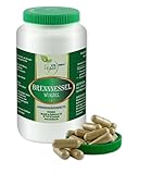 VITA IDEAL Vegan® BRENNNESSEL - Wurzel 360 KAPSELN - Urtica dioica - Brennessel - Tagesportion 650mg BRENNNESSELWURZEL reines Pulver. Natürlich, pflanzlich & ohne Zusatzstoffe.