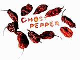 10 x Ghost Pepper getrocknete ganze Chili – die stärksten Chilis der Welt – ganze getrocknete Chilis