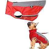 PLUS PO Hund Regenmantel Kleiner Hund Wasserdichter Regenmantel Hund Regenmantel Hund Voller Regenmantel Red,S