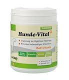 Anibio Hunde-Vital 420g Ergänzungsfutter für Hunde, 1er Pack (1 x 0.42 kg)